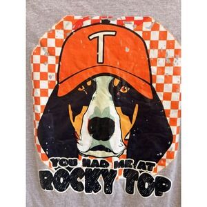Tennessee Volunteers Smokey Dog Rocky Top Graphic T-Shirt Gray Heather UT Vols
